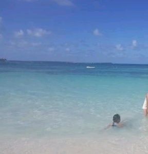 Meet your Posher, Annie